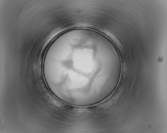 X0000090980886200708161853