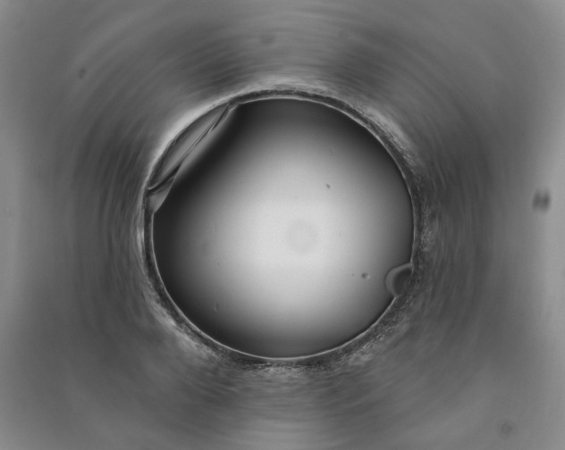 X0000090980888200708161853