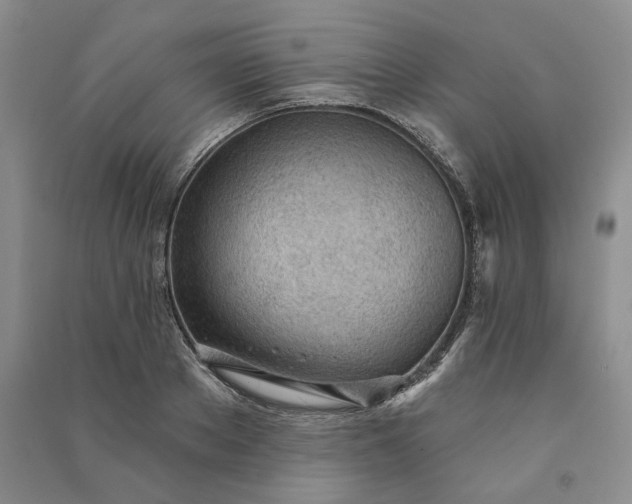 X0000090980889200708161853