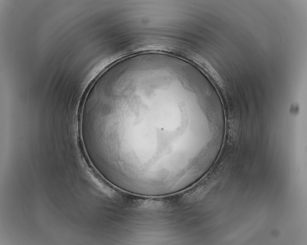 X0000090980890200708161853
