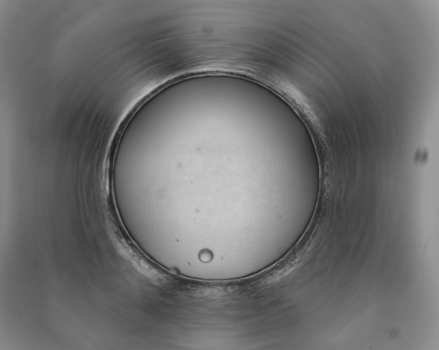 X0000090980892200708161853