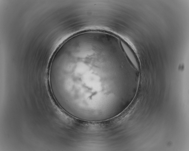 X0000090980895200708161853