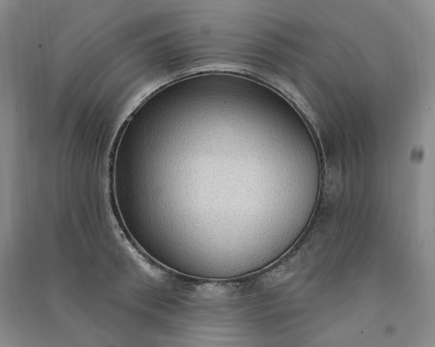 X0000090980898200708161853