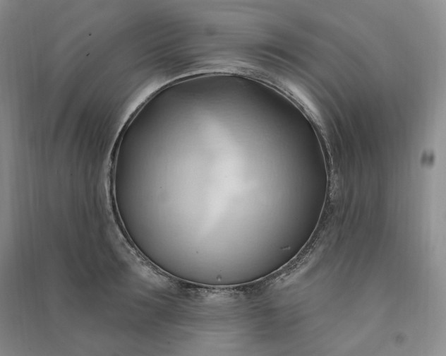 X0000090980899200708161853