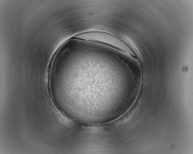 X0000090980900200708161853