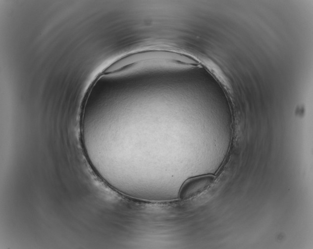 X0000090980904200708161853