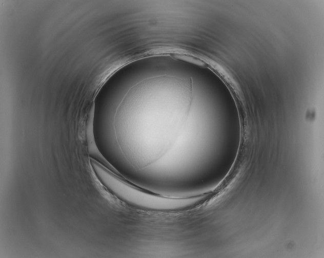 X0000090980905200708161853