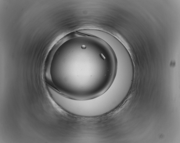 X0000090980909200708161853