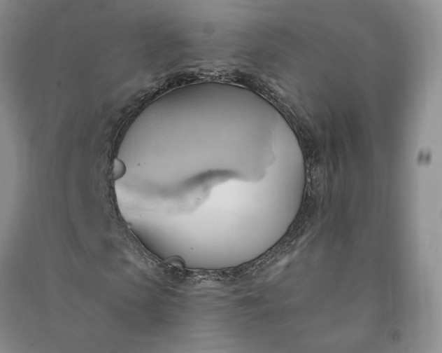 X0000090980913200708161853