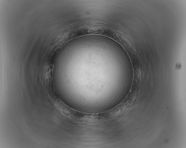 X0000090980914200708161853