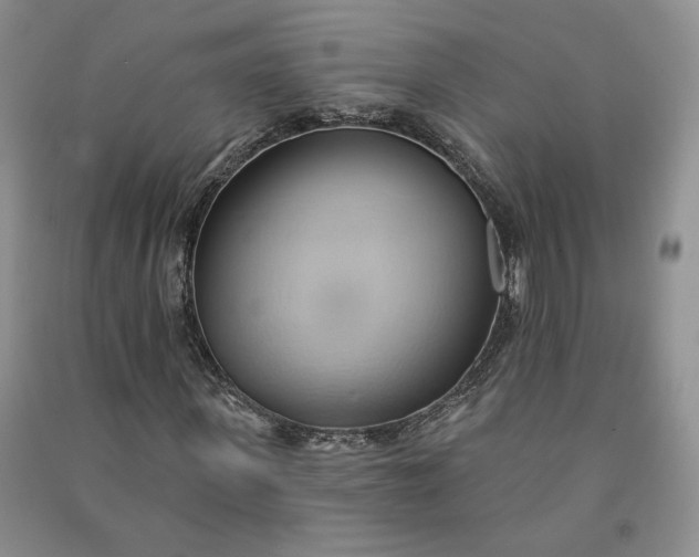 X0000090980915200708161853