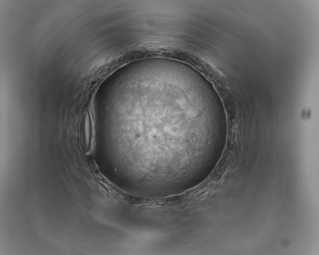 X0000090980917200708161853