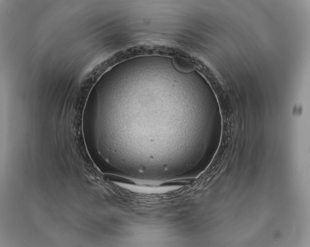 X0000090980919200708161853