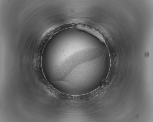 X0000090980920200708161853