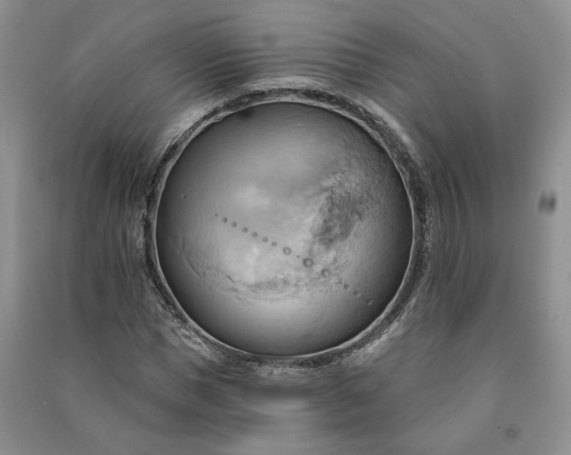 X0000090980921200708161853