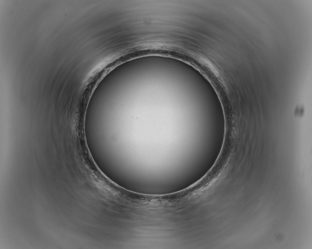 X0000090980922200708161853