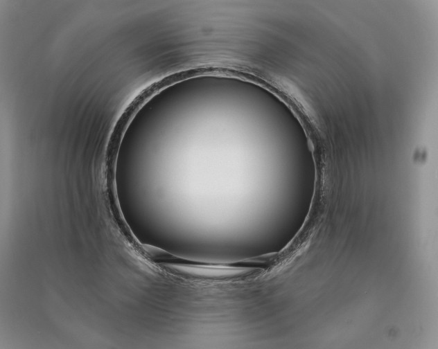 X0000090980924200708161853