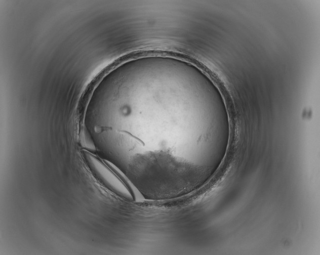 X0000090980925200708161853
