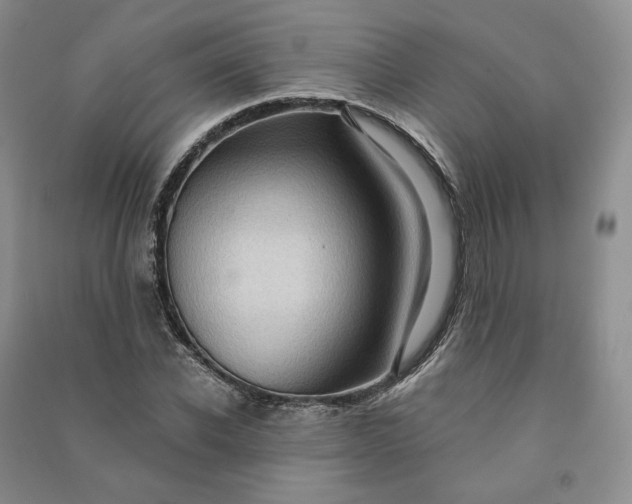X0000090980926200708161853