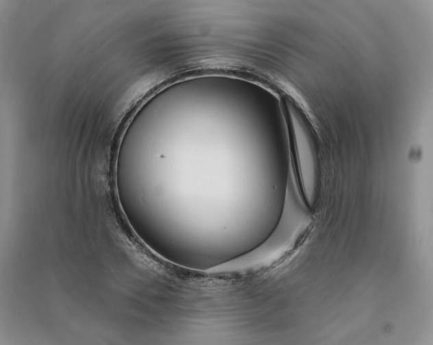 X0000090980930200708161853