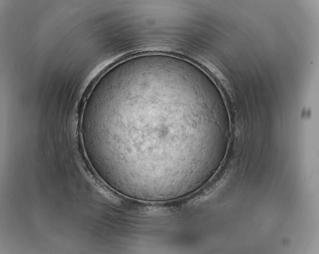 X0000090980933200708161853