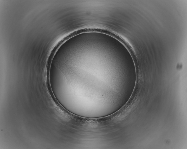 X0000090980935200708161853