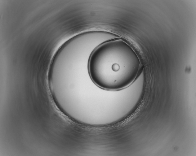 X0000090980936200708161853
