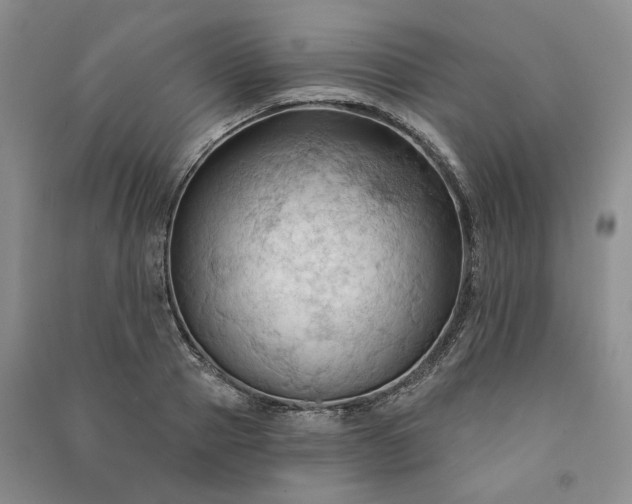 X0000090980937200708161853