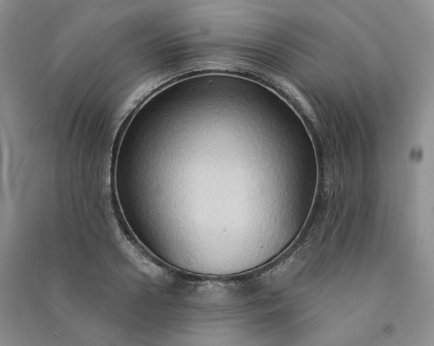 X0000090980938200708161853