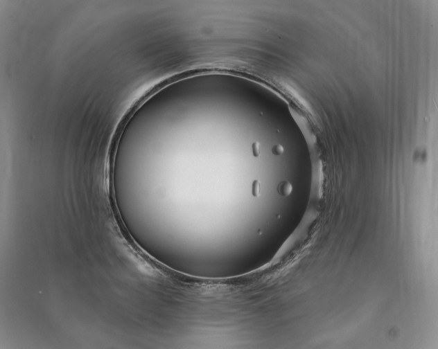 X0000090980940200708161853
