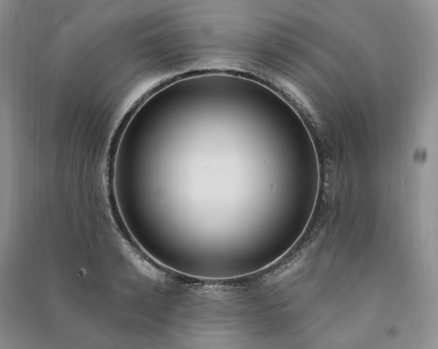 X0000090980942200708161853
