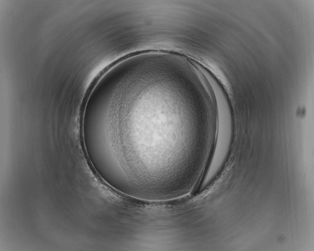 X0000090980944200708161853