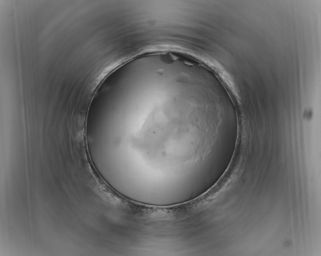 X0000090980945200708161853