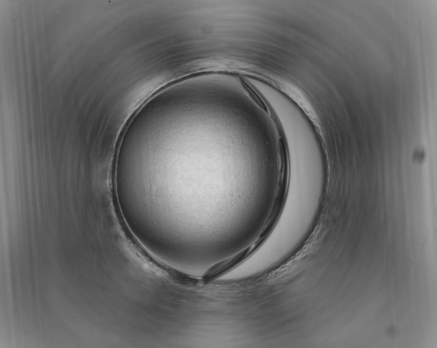 X0000090980946200708161853