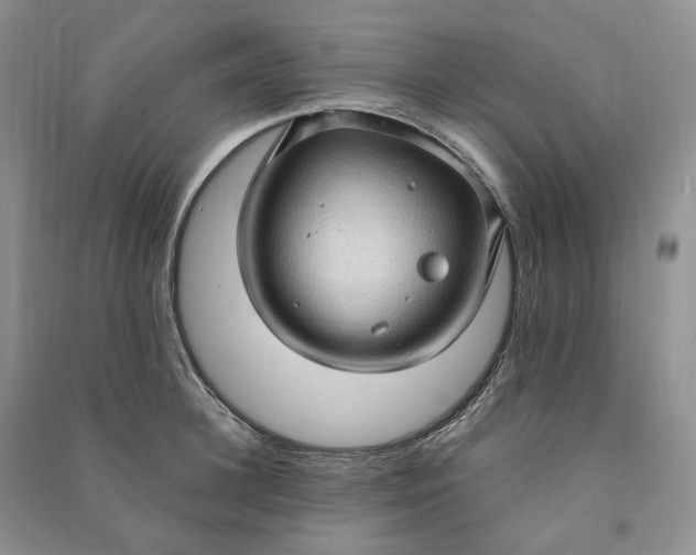 X0000090980948200708161853