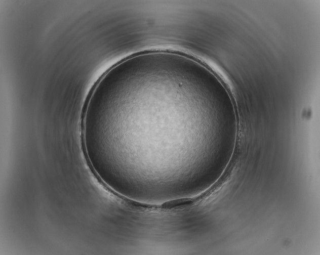 X0000090980951200708161853