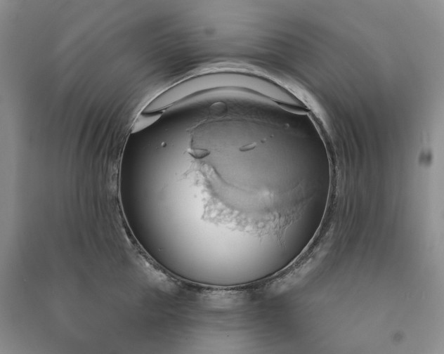 X0000090980953200708161853