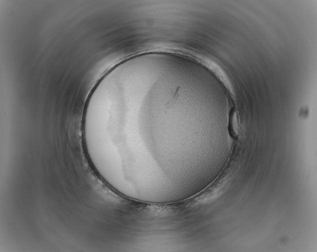 X0000090980954200708161853
