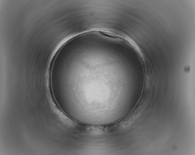 X0000090980955200708161853