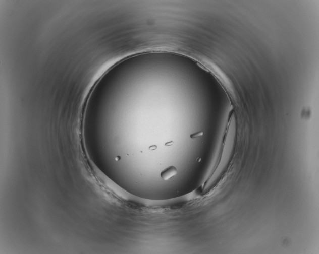 X0000090980956200708161853
