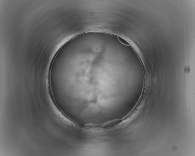 X0000090980957200708161853