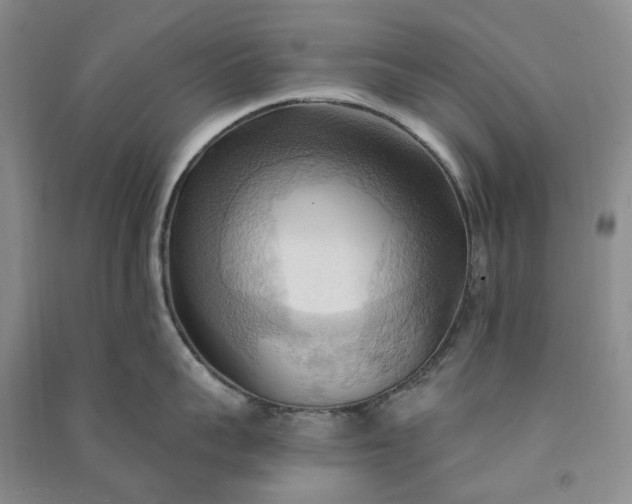 X0000090980959200708161853