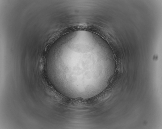 X0000090980962200708161852