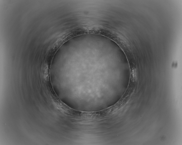 X0000090980963200708161852