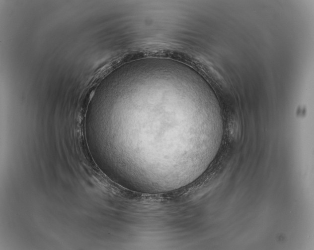 X0000090980964200708161852