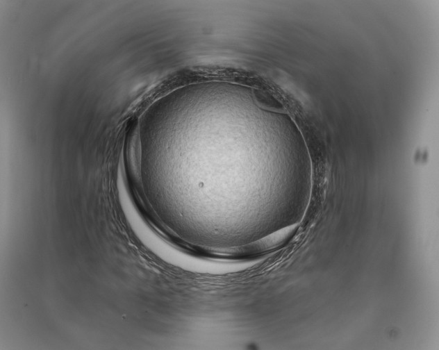 X0000090980965200708161852