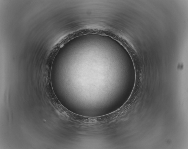 X0000090980968200708161852
