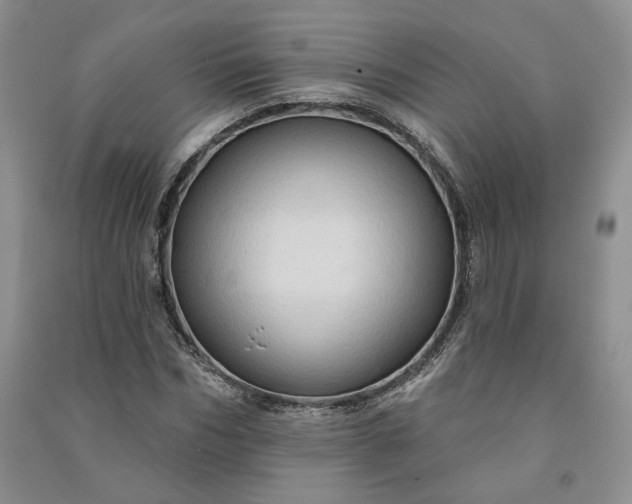 X0000090980970200708161852