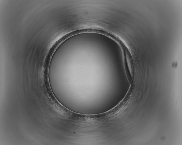 X0000090980975200708161852