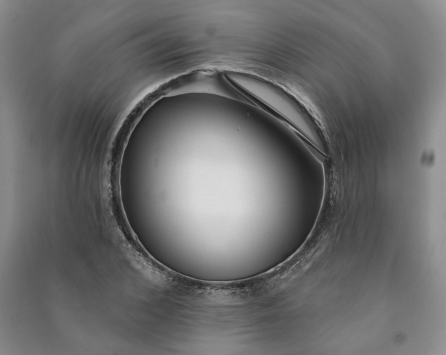 X0000090980976200708161852